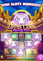 Casino Ao Vivo 56t